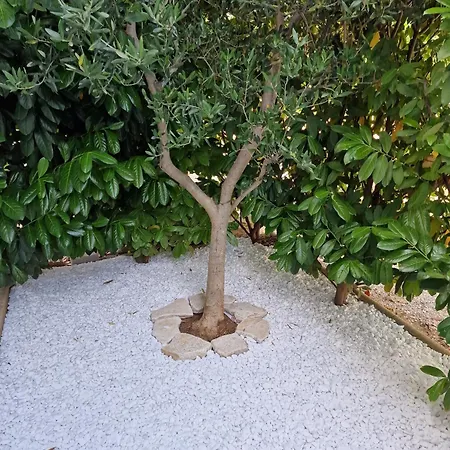 Komin פאקוסטאן